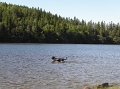 P6043769